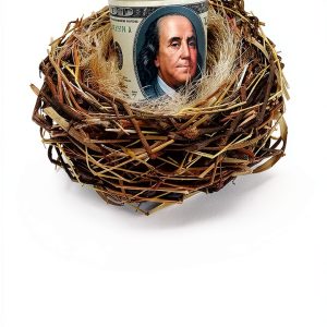 Living Wills Guide Family Estate Publishing English Kindle-0